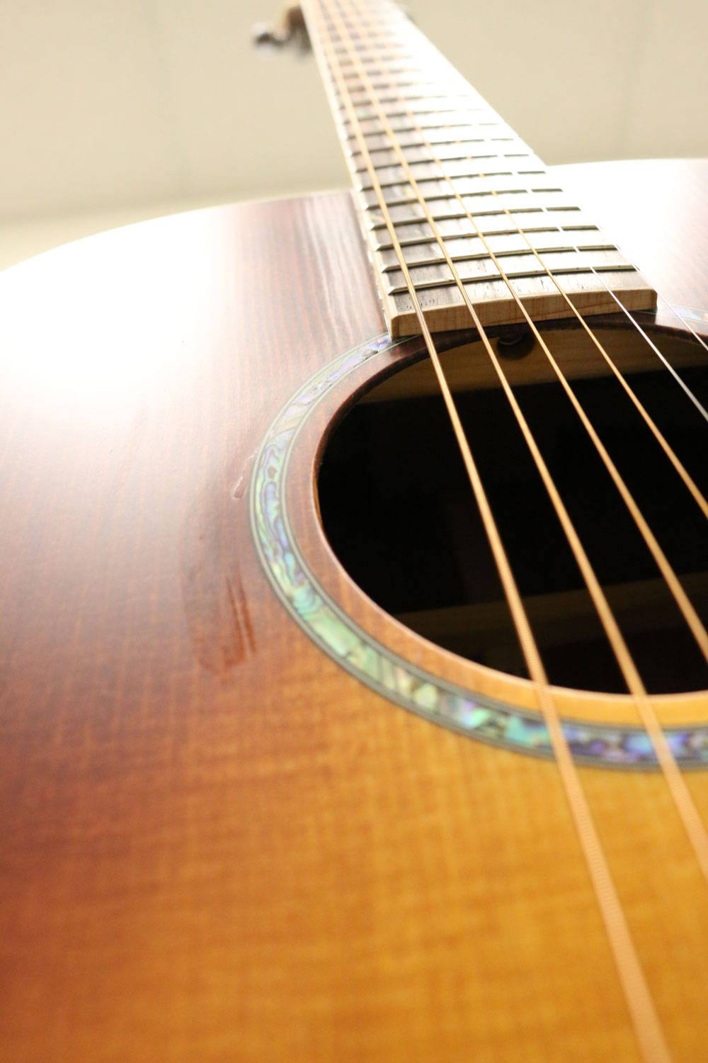 Zaar with Scars - Z380E (#047)