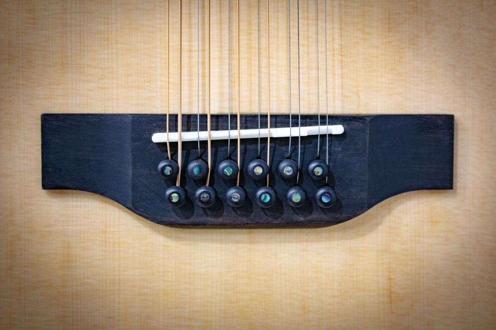 Z34012 12-String Spruce & Mahogany Elite Series